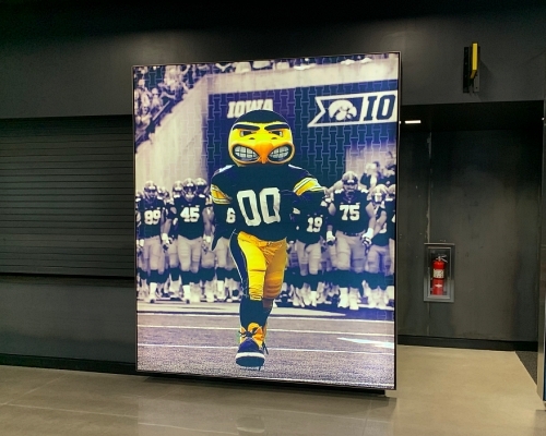 Kinnick SEG Graphic sm