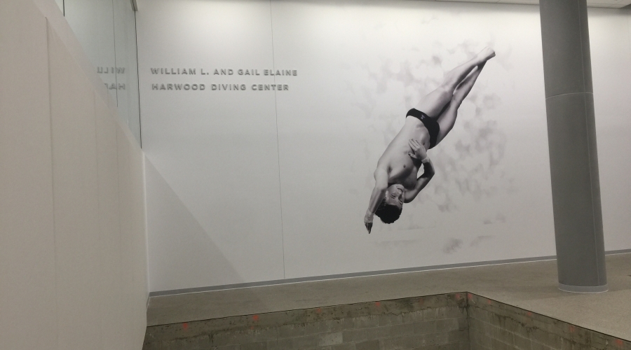 NU Swim Graphics 900