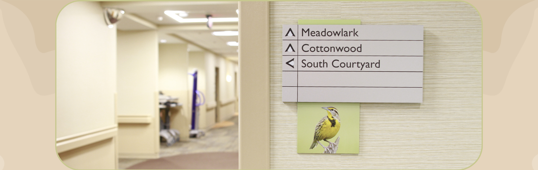 Senior Living Header 1800x570